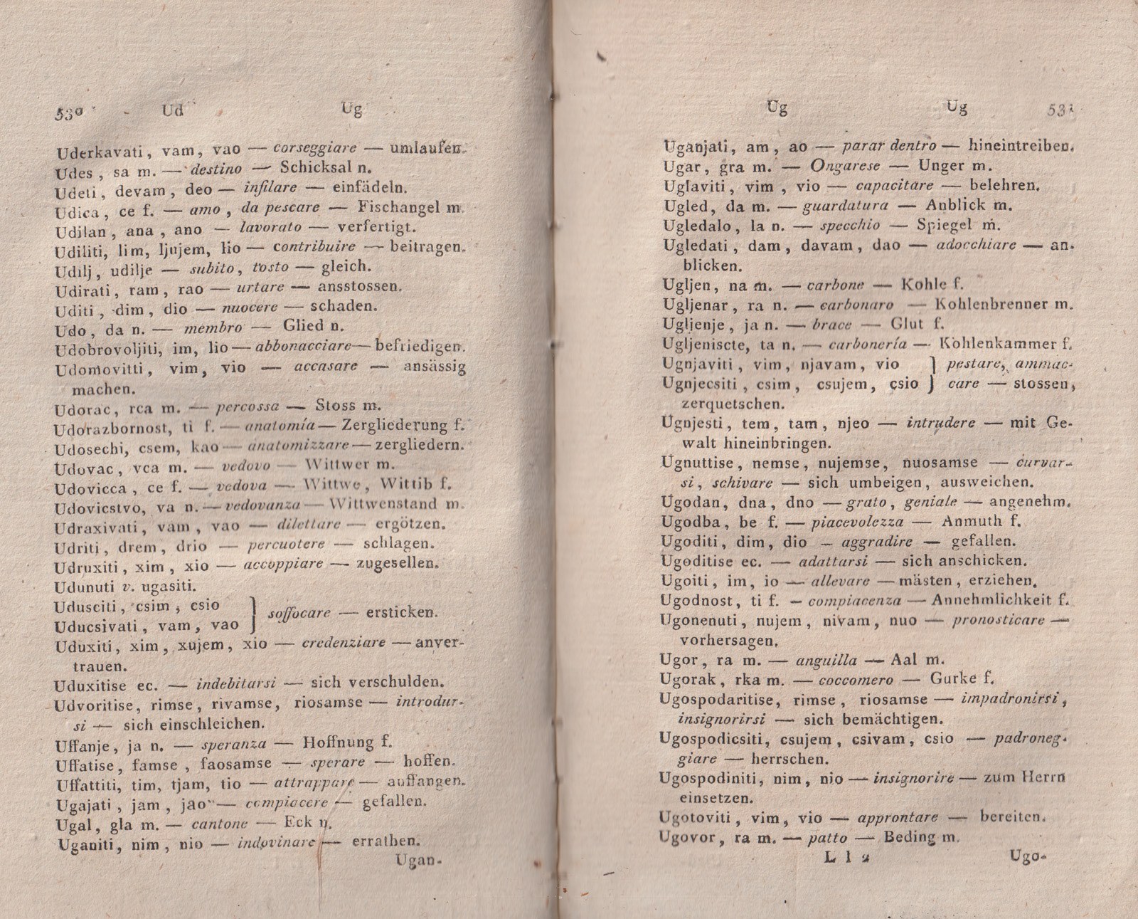ricsoslovnik 308