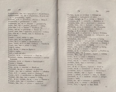 ricsoslovnik 317