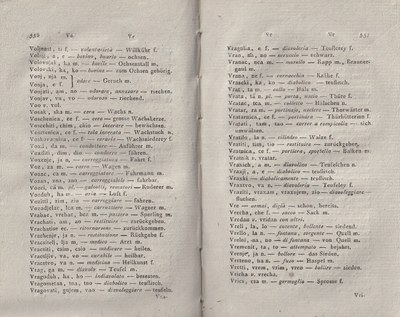 ricsoslovnik 321