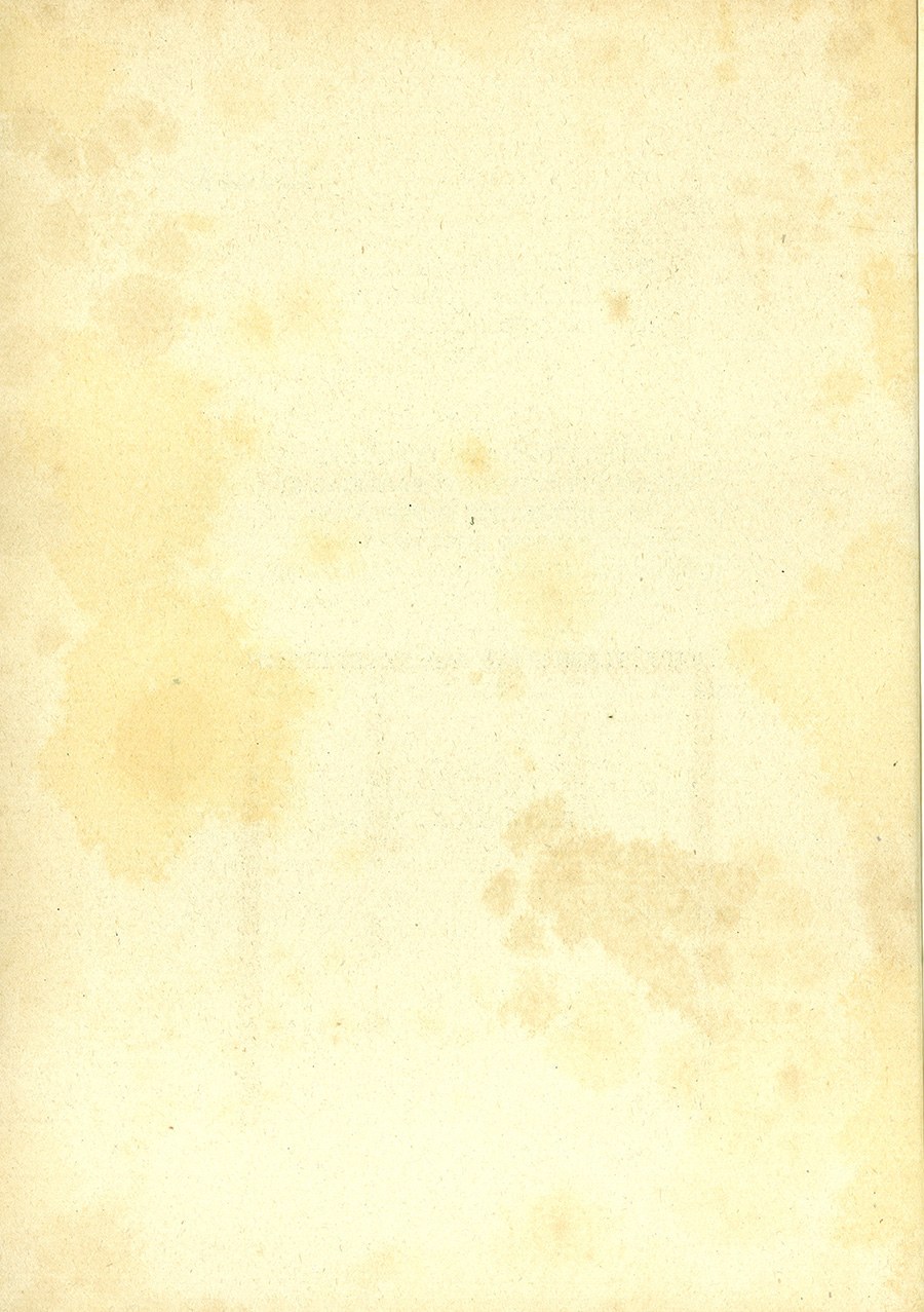 Stranica 29