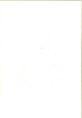 Stranica 33