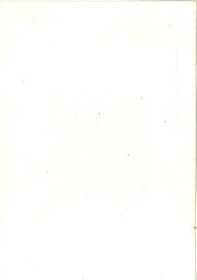 Stranica 39