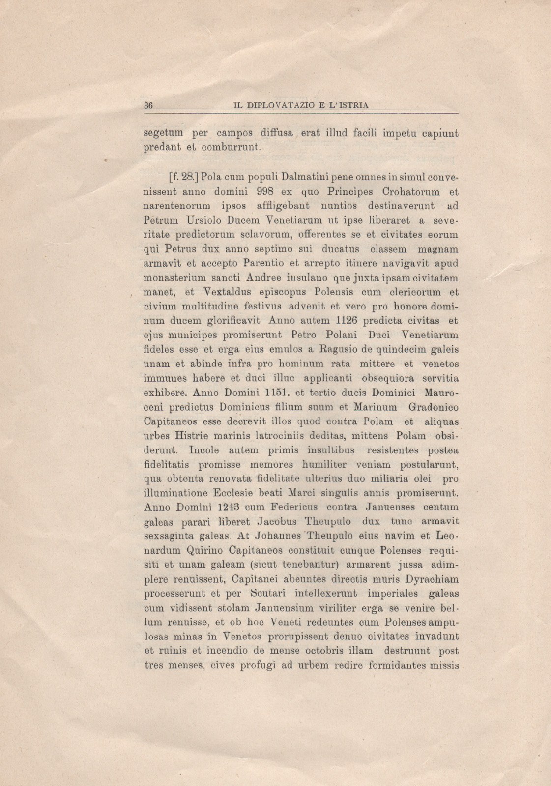 tomaso 29