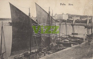 095 lice