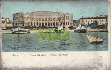 017 lice