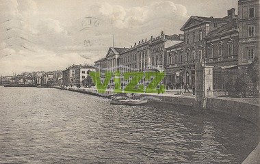 041 lice