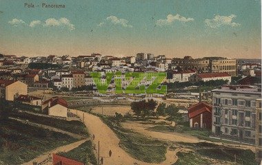 018 lice