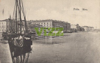 102 lice