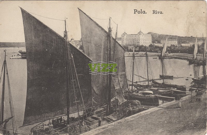 095 lice
