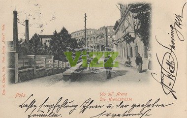 036 lice