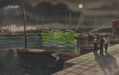 076 lice